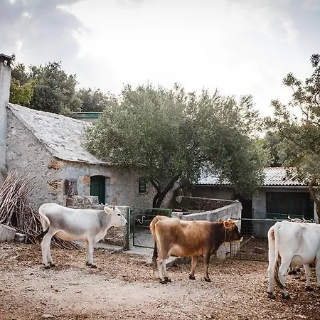 Marija With Private Pool Tatil Evi Supetar